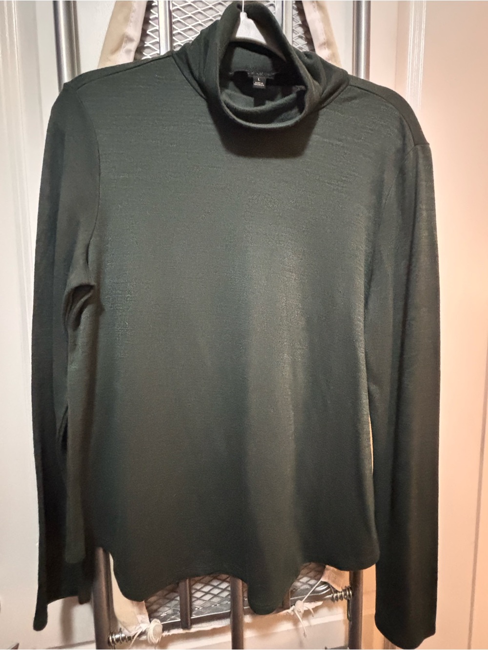 Banana Republic Dark Olive Green Turtleneck Sweater